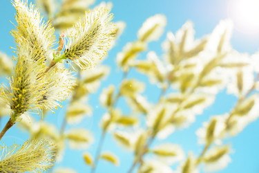 Similar image 11426512