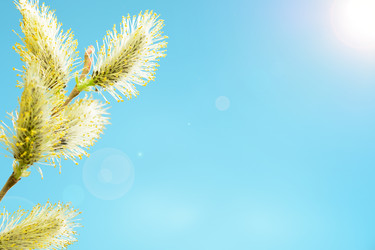 Similar image 11426523