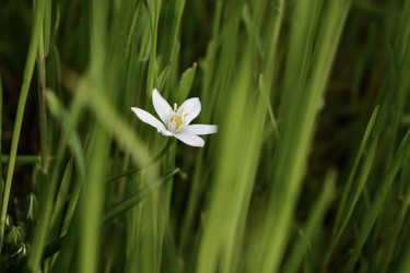 Similar image 11426636