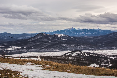 Similar image 11426637