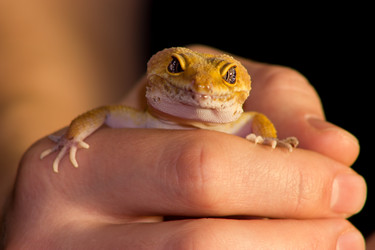 Similar image 11426440