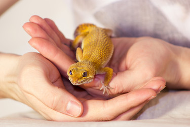 Similar image 11426443