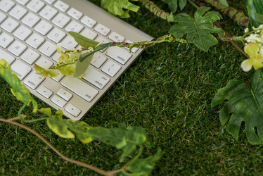 Similar image 11426484