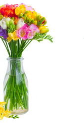 Similar image 11435417