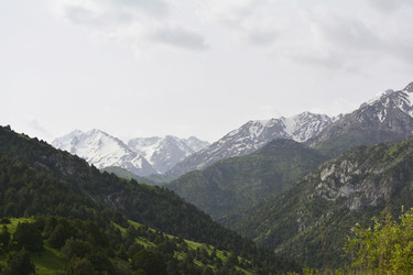 Similar image 11429728