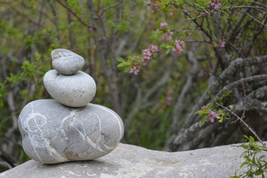 Similar image 11429861