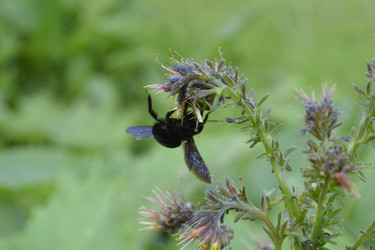 Similar image 11429729