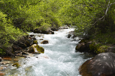 Similar image 11429731