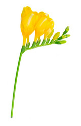 Similar image 11435419