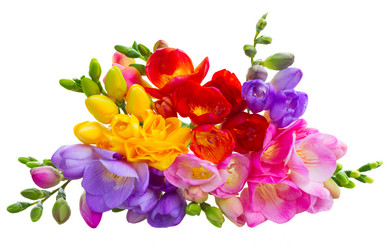 Similar image 11435420