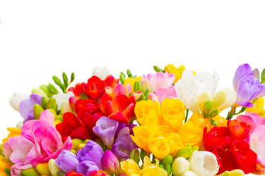 Similar image 11435438