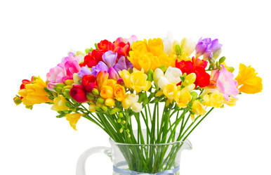 Similar image 11435439