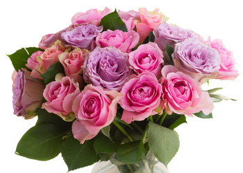 Similar image 11435441