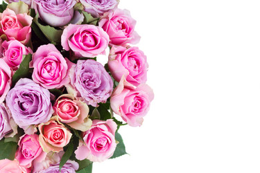 Similar image 11435443