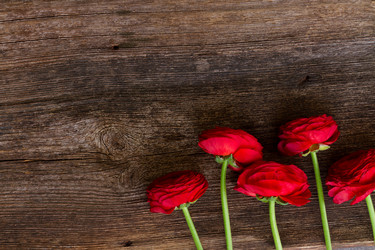 Similar image 11435445