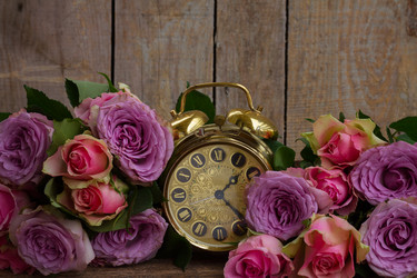 Similar image 11435449