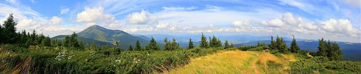 Similar image 11426968