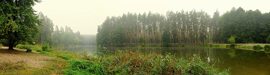 Similar image 11426969