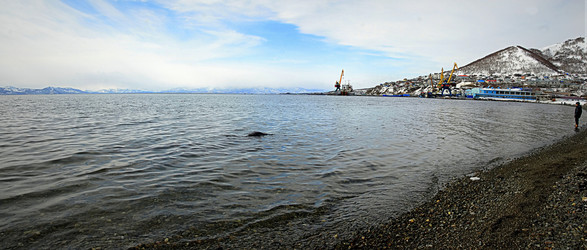 Similar image 11426973