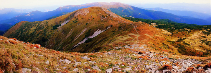 Similar image 11426974