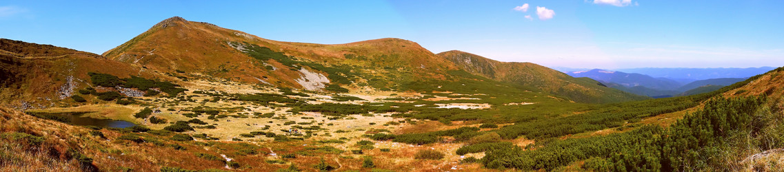 Similar image 11426980