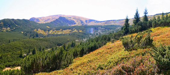 Similar image 11426981