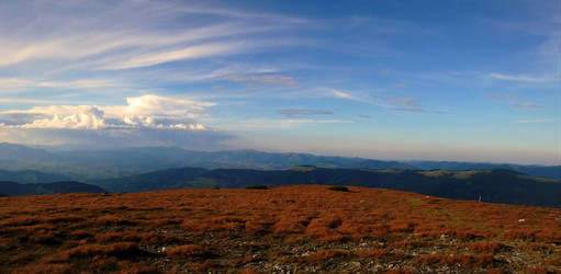 Similar image 11426991