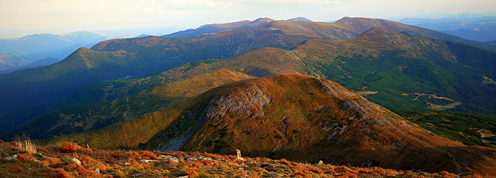 Similar image 11426992