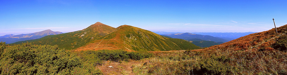 Similar image 11426993