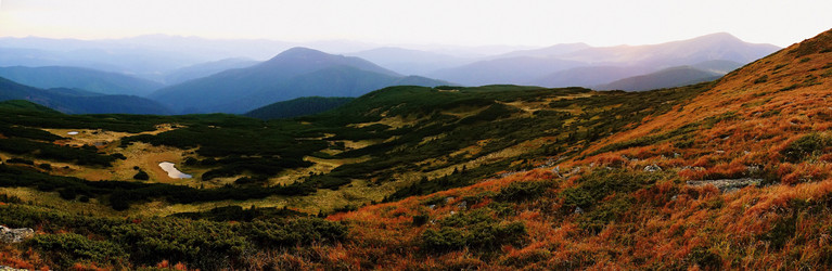 Similar image 11426994