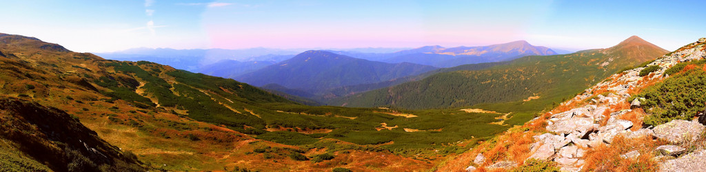 Similar image 11426995