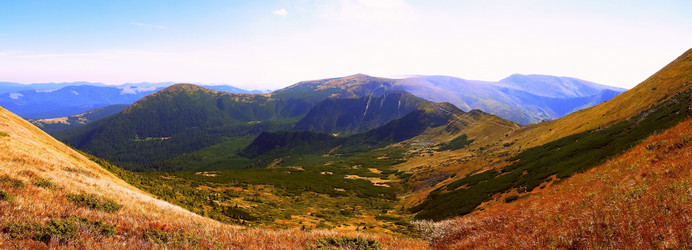 Similar image 11426996