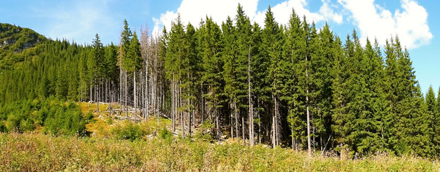 Similar image 11426998