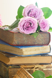 Similar image 11435478