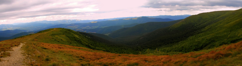 Similar image 11427015