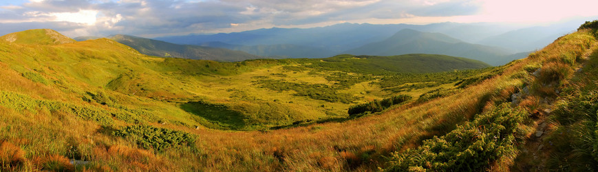 Similar image 11427017