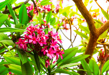 Similar image 11427713