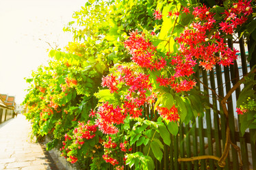 Similar image 11427589