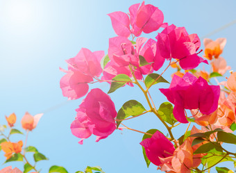 Similar image 11427590