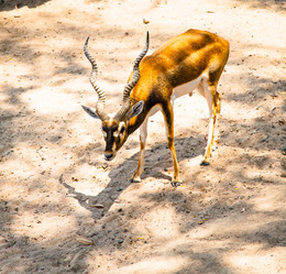 Similar image 11427593