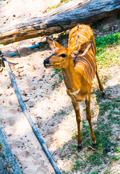 Similar image 11427594