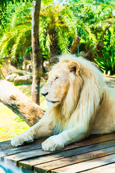 Similar image 11427595