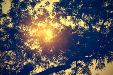 Similar image 11427621