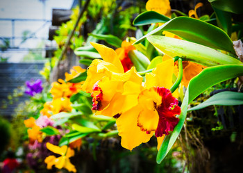 Similar image 11427626