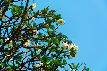 Similar image 11427631