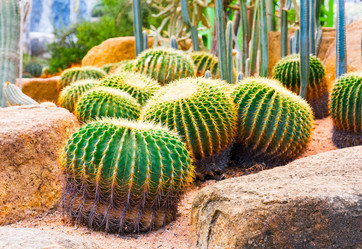 Similar image 11427636