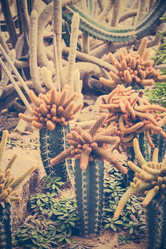 Similar image 11426614