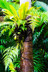 Similar image 11427638