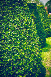 Similar image 11427639