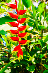 Similar image 11427641